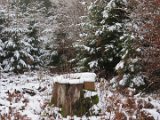 2021-11-27 - Erster Schnee im Solling (12)